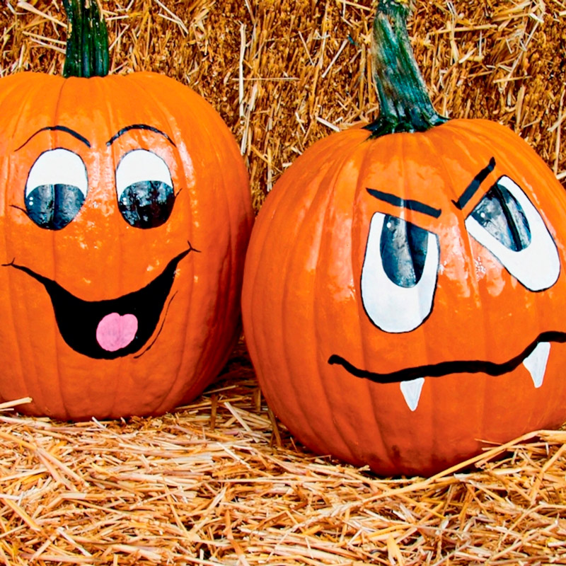 Fattoria-della-zucca_zucche-decorate Jack O'Lantern fattoria della zucca