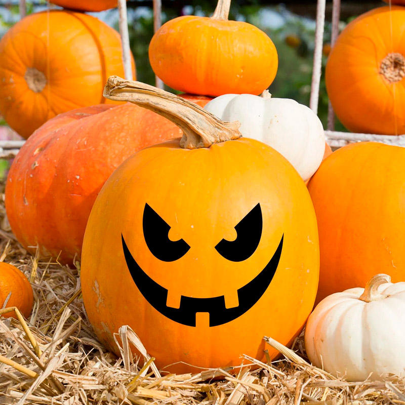 Fattoria-della-zucca_zucche-halloween-decorate Jack O'Lantern fattoria della zucca