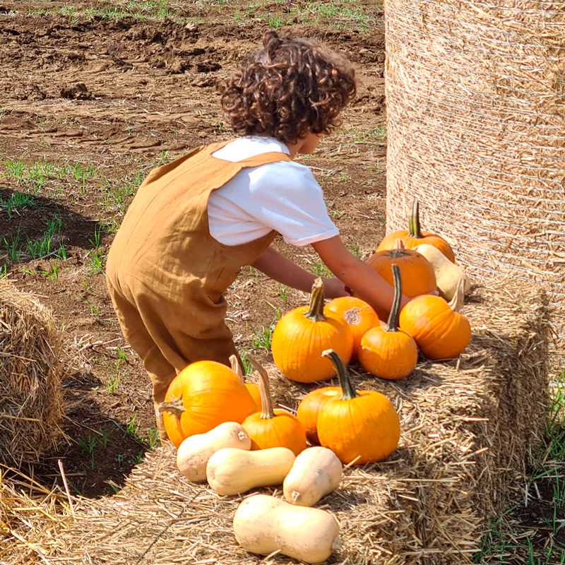 Fattoria-della-Zucca_bambino-zucche Fattoria della Zucca