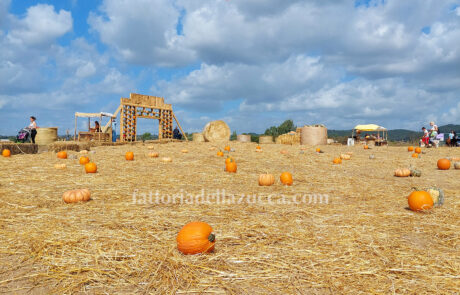 Fattoria della Zucca