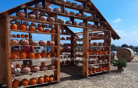 Fattoria della Zucca