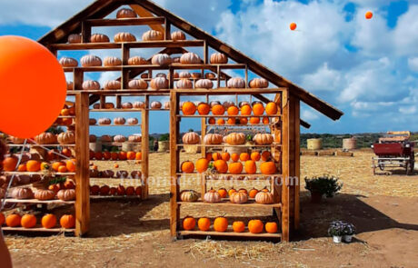 Fattoria della Zucca