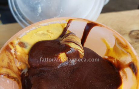 Fattoria della Zucca - gelato alla zucca