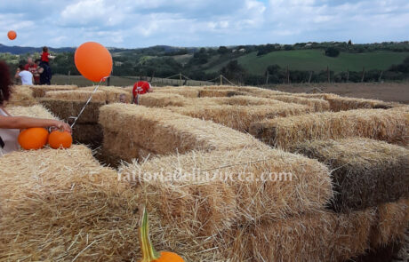 Fattoria della Zucca_labirinto di fieno