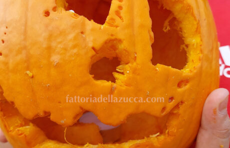 Fattoria della Zucca - intaglio della zucca