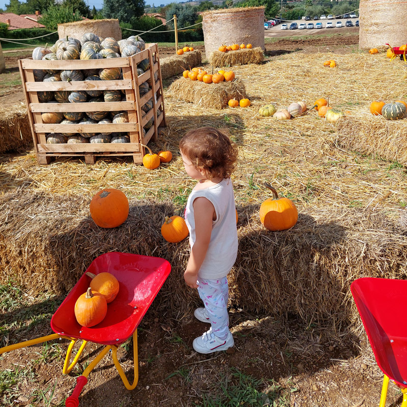 Fattoria-della-Zucca